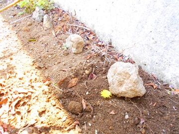 4月10日（30）仮