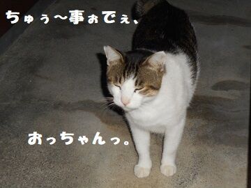 9月24日（19-12）仮