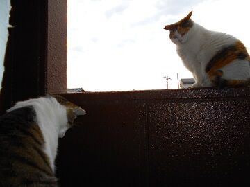 5月28日（24）仮