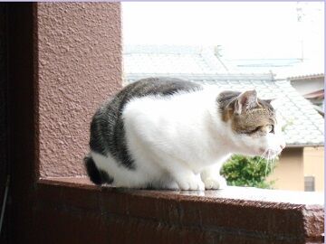 8月28日（78）仮