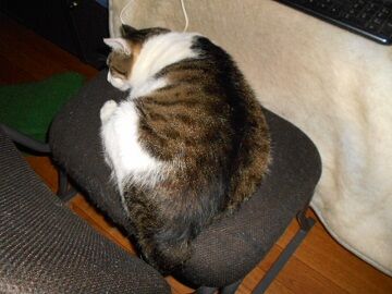 6月27日（24）仮