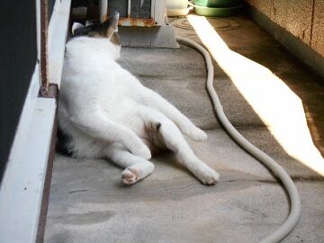 10月4日（46）仮