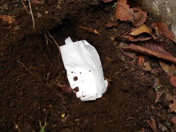 9月22日（11-1）仮