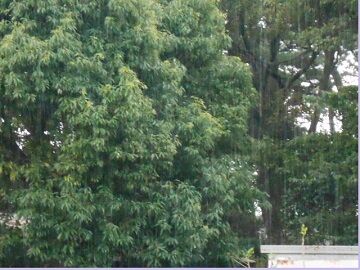 9月11日（35）仮