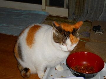 12月23日（18）仮