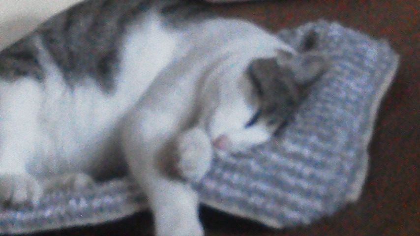 ピンボケ