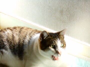 12月4日（20）使用