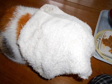 10月25日（15）仮