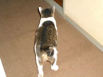 9月20日（58）仮