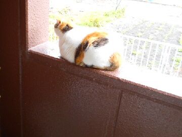 11月13日（15）仮