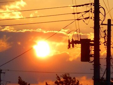 3月18日（16）仮