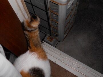 10月6日（20-8）仮