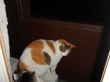 7月23日（48）仮