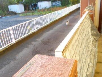 10月23日（39）仮