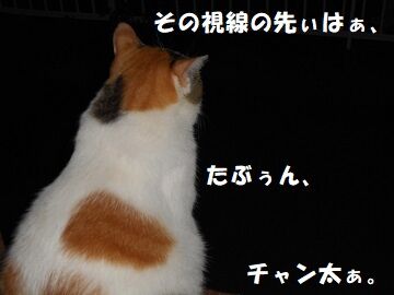 9月24日（19-17）仮