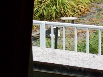 8月24日（38）仮