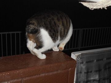 9月28日（22-2）仮