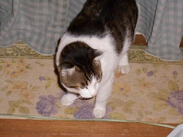 10月7日（20-1）仮