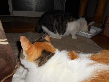 9月29日（21-2）仮