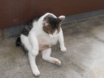 9月13日（7-8）仮