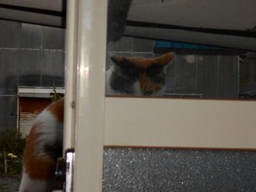 9月25日（6-5）仮