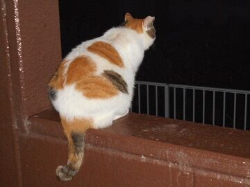 8月29日（18）仮