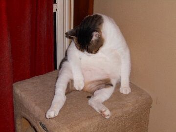 10月9日（22-1）仮