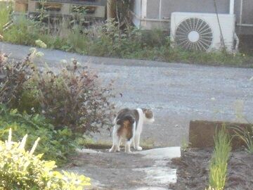 9月30日（7-21）仮