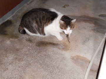 10月7日（22-16）仮