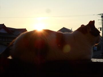 8月24日（20）仮