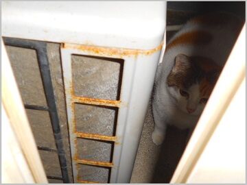 12月24日（45）仮