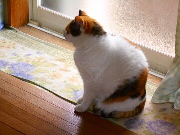 4月10日（33）仮