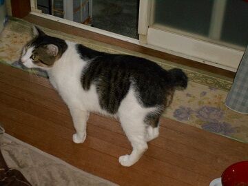 9月12日（6-9）仮