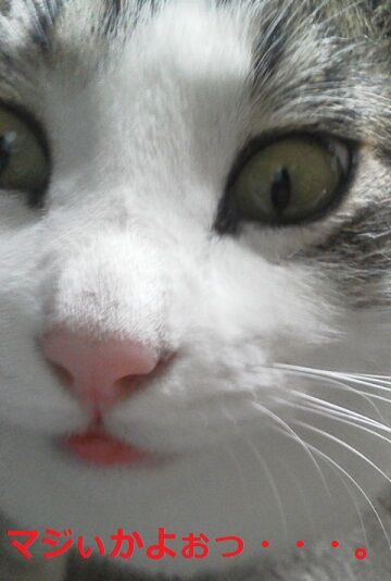 このぉ男ぉ～、大丈夫ぅかぁ～ぁ？（2）