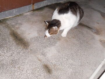 10月7日（22-15）仮