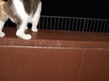 9月17日（19-6）仮