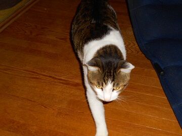 10月14日（4）仮