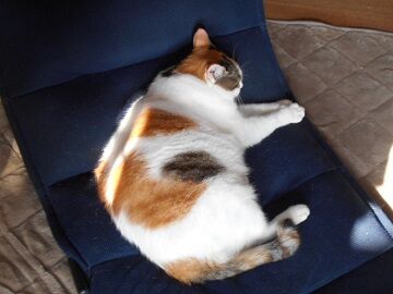 10月2日（8-2）仮