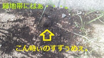 10月1日（37）使用