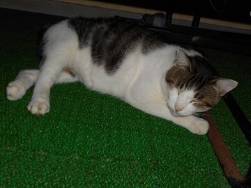 9月22日（8-4）仮