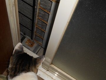 9月23日（3-2）仮