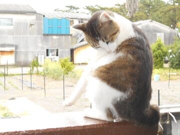 5月28日（33）仮