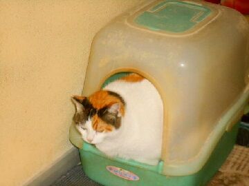 11月30日（46）仮