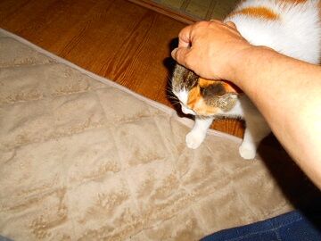 5月19日（25）仮