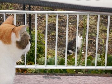 9月27日（7-1）仮