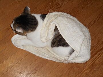 8月14日（18）仮