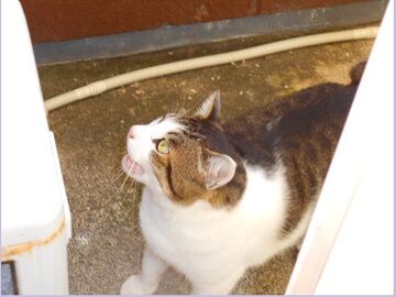 11月30日（22）仮