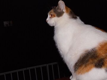 10月9日（18-18）仮