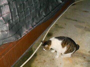 5月10日（68）仮