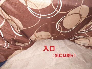 10月6日（9-2）使用
